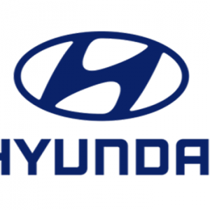 partner_logos_hyundai_1.png